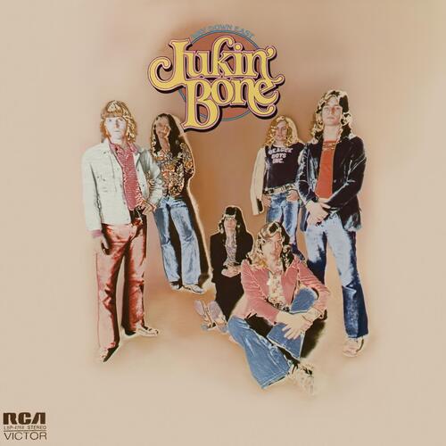Johnny Lee's Mood cover art