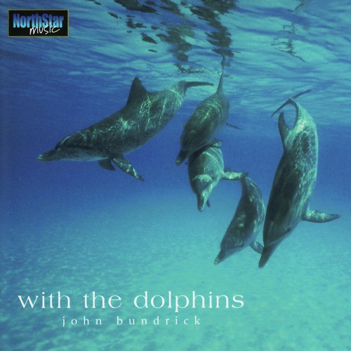 With the Dolphins_poster_image