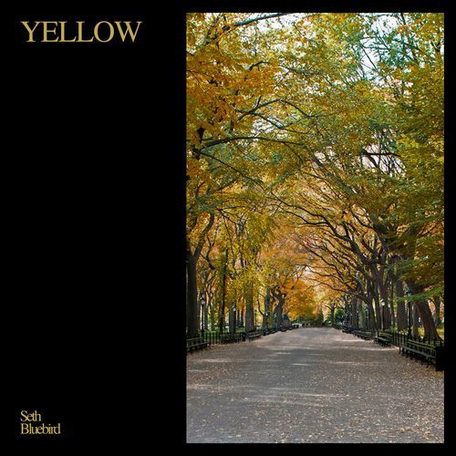 Yellow cover art