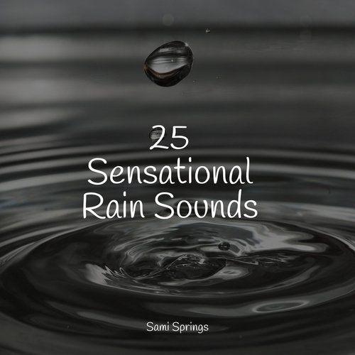 25 Sensational Rain Sounds_poster_image