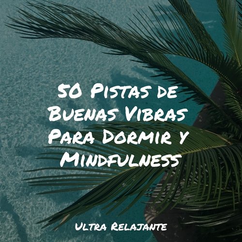 50 Pistas de Buenas Vibras Para Dormir y Mindfulness