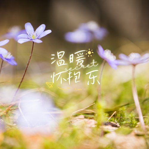 恬静之声：孕期助眠曲 (帮助入睡) cover art