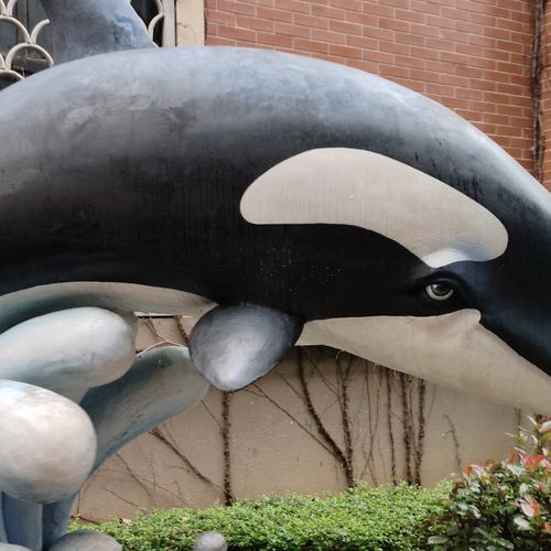 肩膀的膀是膀胱的膀