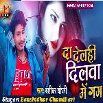 Da Delahi Dilwa Me Gum