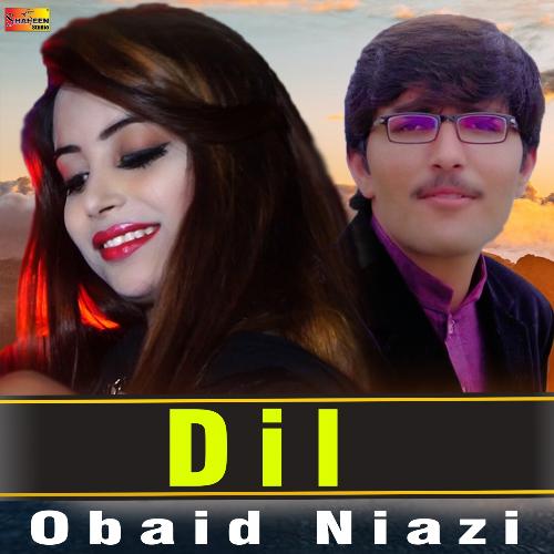 Dil