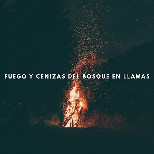 Sonidos De Fuego cover art