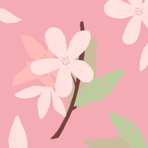In Bloom