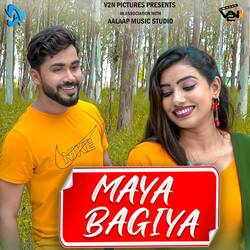 Maya Bagiya (Chhattisgarhi Song)-Mh0eXw1KW3w