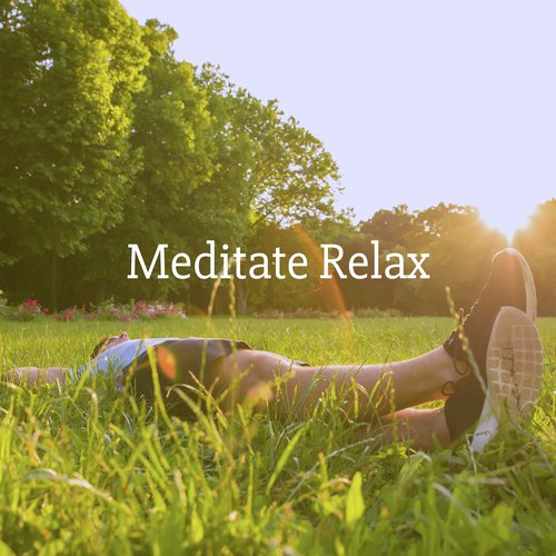 Meditate Relax