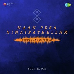 Naan Pesa Ninaipathellam - Slowed and Reverbed-MS8nWUVyfEU