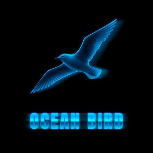 Ocean Bird (with R?ck)