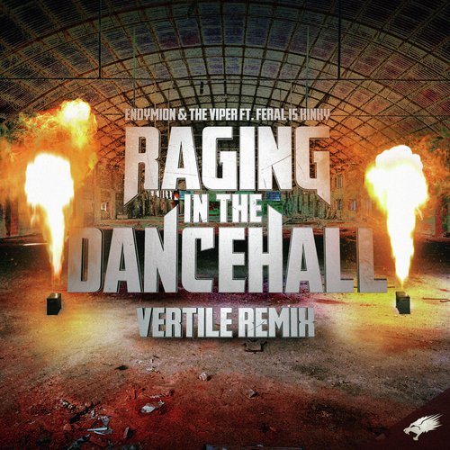 Raging in the Dancehall (Vertile Remix)_poster_image