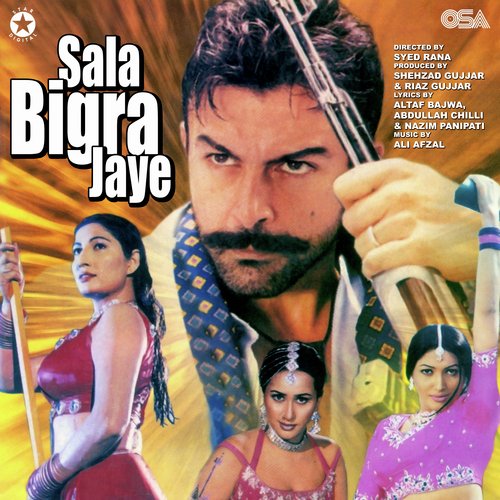 Sala Bigra Jaye_poster_image