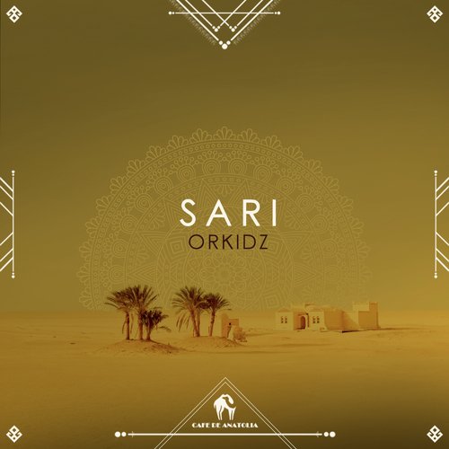 Sari