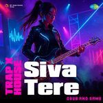 Siva Tere - Trap X House artwork
