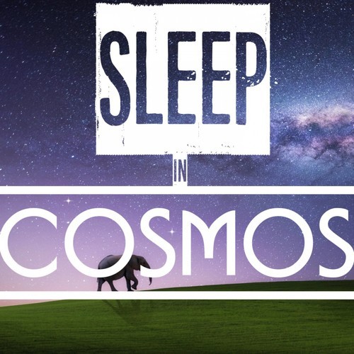 Sleep in Cosmos