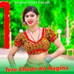 Tere Chude Ko Nagina