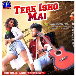 Tere Ishq Mein (Hindi)