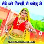 Tere dhare gallery mein photo