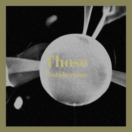 Few Conspicuous cover art