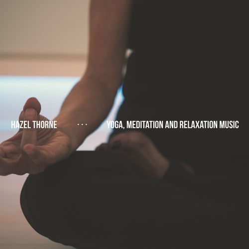 Oasis Meditation cover art