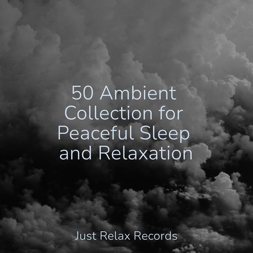 50 Ambient Collection for Peaceful Sleep and Relaxation_poster_image