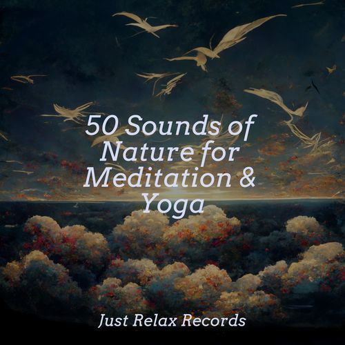 50 Sounds of Nature for Meditation & Yoga