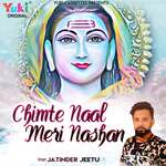 Chimte Naal Meri Nashan