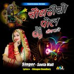 Choudharyo Pol Dj Jor Baje