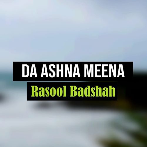 Da Ashna Meena