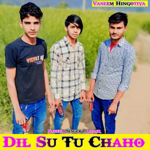 Dil Su Tu Chaho