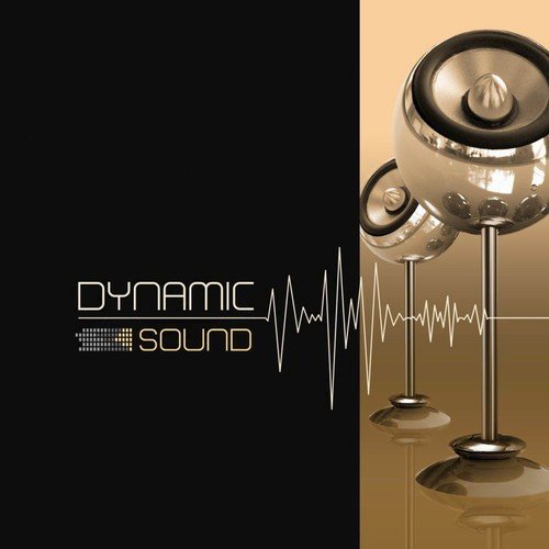 Dynamic Sound (Dynamo Remix)