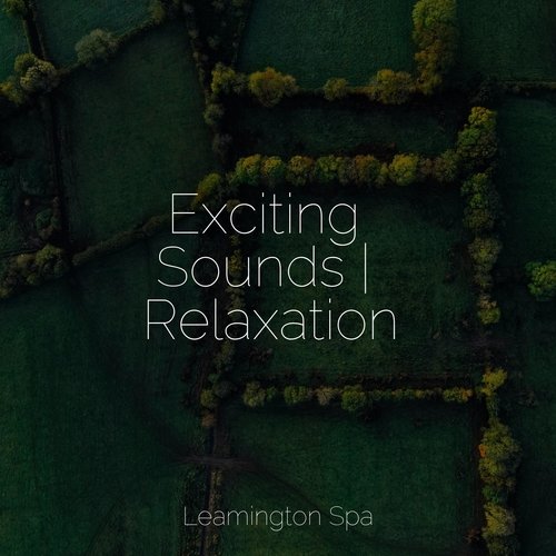 Exciting Sounds | Relaxation