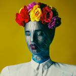 Flowers Bloom in Atacama Desert