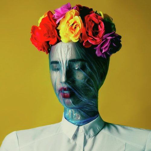Dog cover art