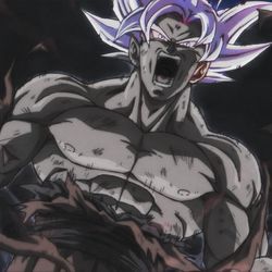 Goku Mastered Ultra Instinct