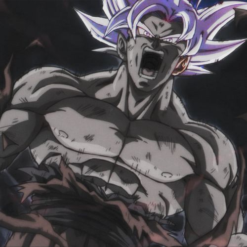 Goku ultra instinct
