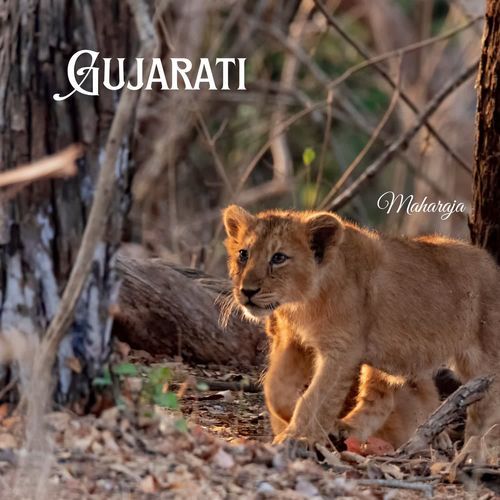 Gujarati