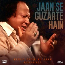 Jaan Se Guzarte Hain (Remix / Dil Pe Zakham Khate Hain)