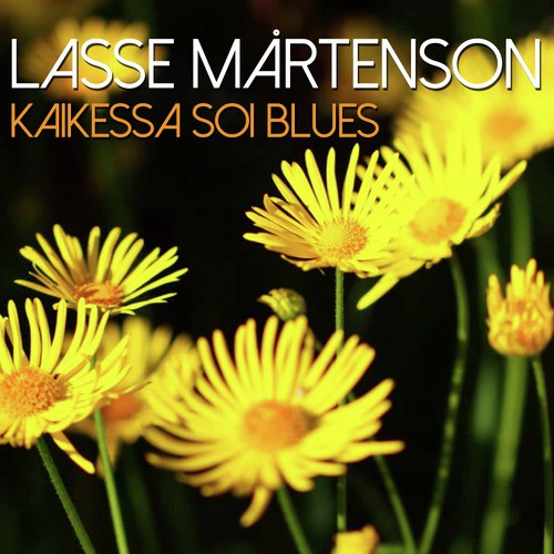 Kaikessa Soi Blues_poster_image