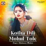 Kotha Dili Mohul Tole
