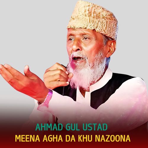 Meena Agha Da Khu Nazoona