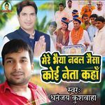 Mere Bhaiya Naval Jaisa Koi Neta Kahan