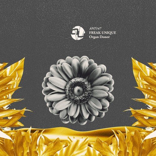 Organ Donor (Radio Edit)