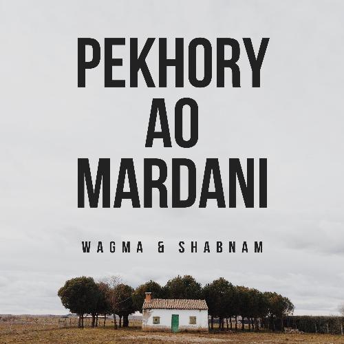 Pekhory Ao Mardani_poster_image