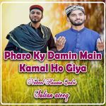 Pharo Ky Damin Main Kamal Ho Giya