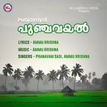 Punjavayal