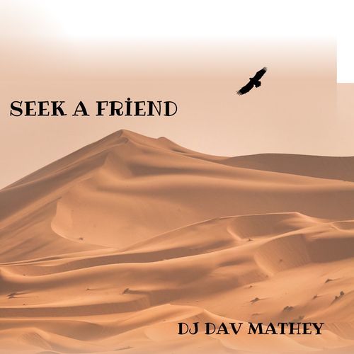 Seek a Friend cover art