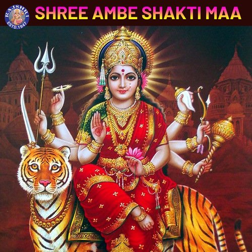 530 Shakti Maa ideas  durga goddess durga devi durga