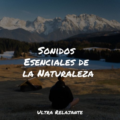 Vibraciones Tranquilas cover art